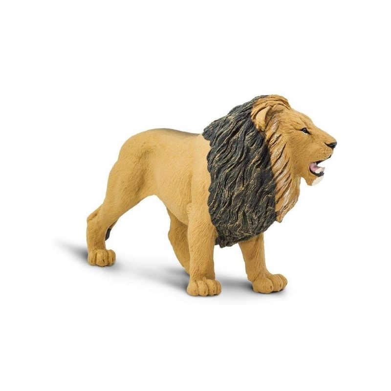 Λιοντάρι - Lion