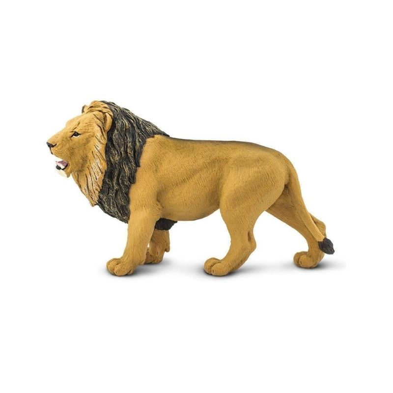 Λιοντάρι - Lion