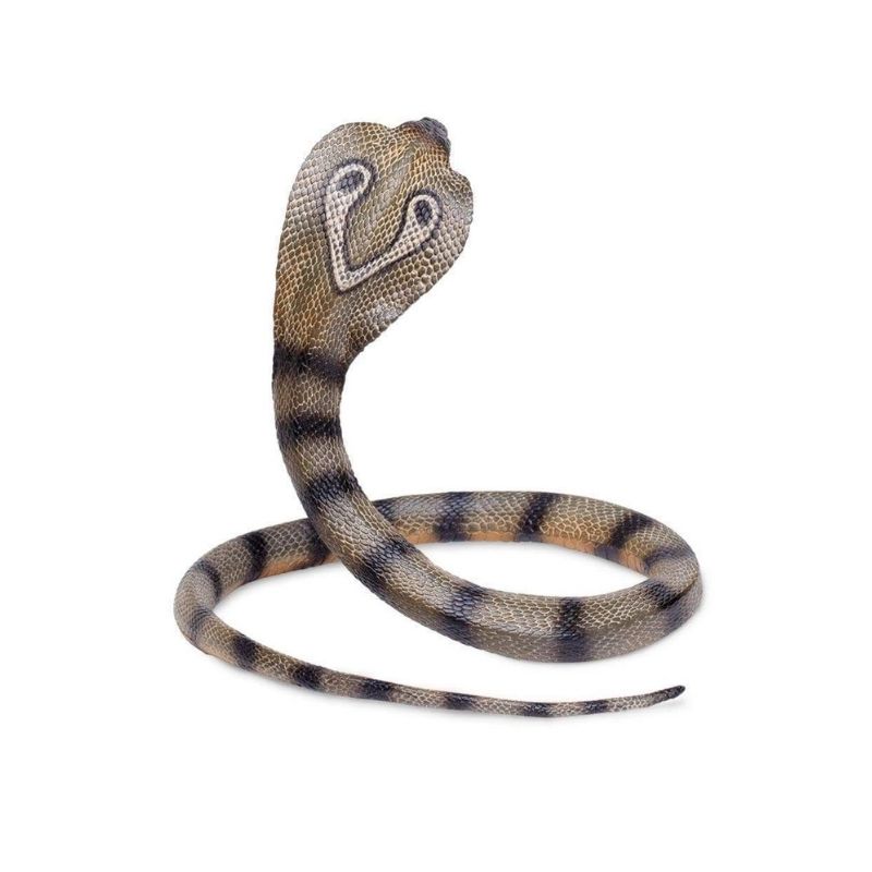 Κόμπρα - Cobra