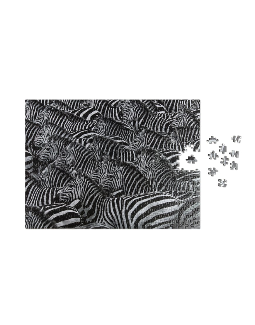 Παζλ 500 τεμ - Zebra Wildlife Pattern